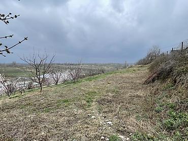 Kənd təsərrüfatı, Makler, Kupça (Çıxarış) lalafo.az -da — 5 Kənd təsərrüfatı, Makler, Kupça (Çıxarış) — 5