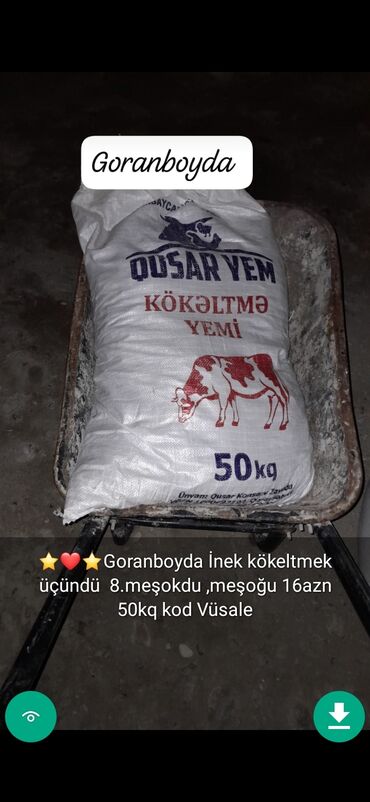 Yemlər: YEMLER Mal qara ucun Şekillerde qiymetler melumatlar unvan qeyd olunub