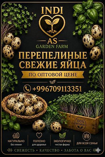 Продукты питания: Перепела и перепелиные яйца от INDI AS Garden Farm СОКУЛУК БИШКЕК — 6