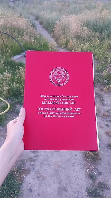 туп: 5 соток, Курулуш, Кызыл китеп — 2