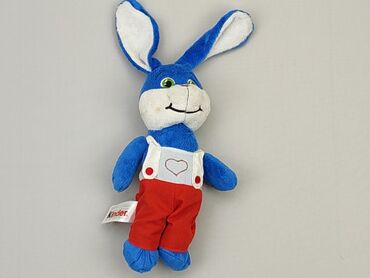 Mascots: Mascot Rabbit, condition - Good