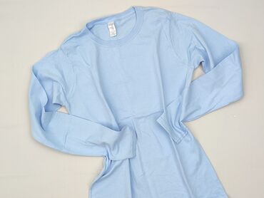 diesel bluzka damska: Women's blouse, Gildan, size S (EU 36)