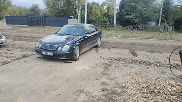 mazda sedan: Mercedes-Benz E-Class: 2004 г., 2.2 л, Автомат, Дизель, Седан — 3
