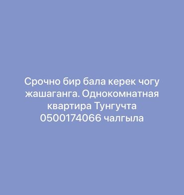 сдаю рабочий городок: 1 бөлмө