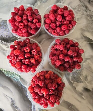 malina.kg продажа малины оптом в бишкеке новопокровка фото: Малина Өзү алып кетүү, Акылуу жеткирүү
