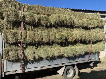 труба металлическая 100 мм цена бишкек: Клевер 150-шт
Плотные тюки сухое 
Цена 360-сом
Беловодское