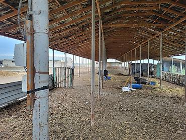 Torpaq sahələrinin satışı: 26000 sot, Kənd təsərrüfatı, Kupça (Çıxarış) — 10