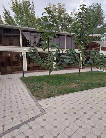 дом арчалы: 200 м², 6 комнат и более, Толойкон мкр. Без подселения — 9