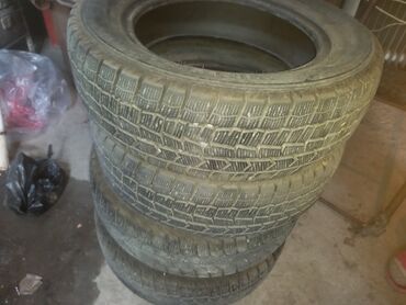 зимный шыны: Шиналар 175 / 65 / R 14, Кыш, Колдонулган, Комплект, Жеңил унаалар, Жапония, Dunlop
