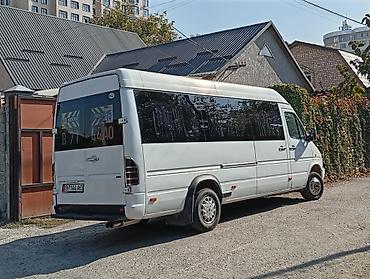 sprinter tdi: Автобус, Mercedes-Benz, 1998 г., 2.9 л, 16-21 мест — 10
