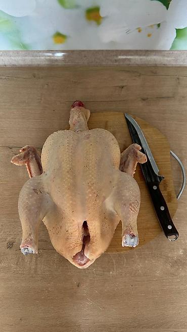 продам яйца: Домашняя курица-бройлер, тушка целая. Описание: - Курица белая — 2