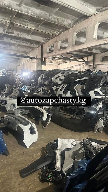 шери: Запчасти на Корейские машины Renault Samsung Ssang young Hyundai — 5