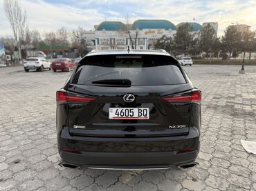 Lexus: Lexus NX: 2019 г., 2 л, Бензин, Кроссовер — 5