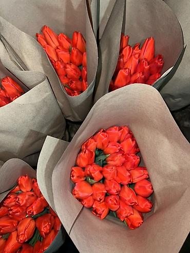 Букеты из живых цветов: 🌷 Тюльпаны оптом и в розницу!🌷 Свежие, хрустящие, плотные бутоны 🌿 at lalafo.kg — 5 Букеты из живых цветов: 🌷 Тюльпаны оптом и в розницу!🌷 Свежие, хрустящие, плотные бутоны 🌿 — 5