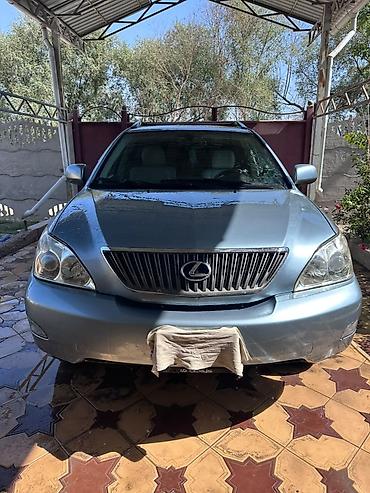 шильдик xle: Lexus RX: 2005 г., Автомат, Бензин, Кроссовер — 4