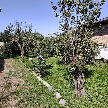 палтавка сатылуучу үйлөр: Дом у горной реки - Уютный одноэтажный кирпичный дом с садом и — 6