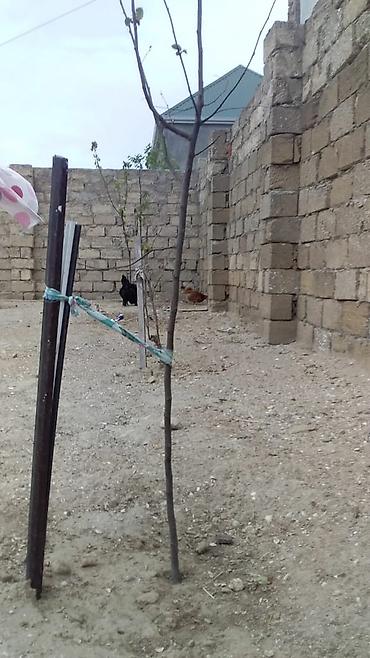 ev ilanı: 70 kv. m, 2 otaqlı — 8