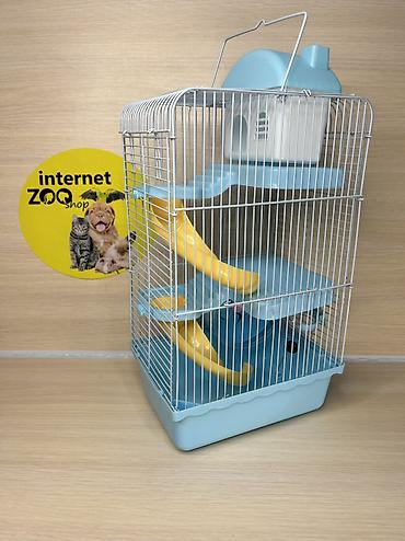 Хомяки: Продаются хомячки джунгарские, сирийские, ангорские пушистые хомячки — 30