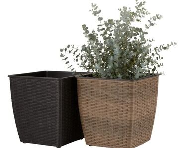 Vaze i saksije: Saksija, bоја - Šareno, Novo — 1