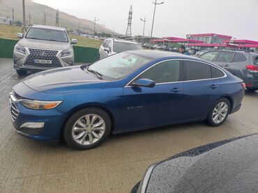купить опель вектра б: Chevrolet Malibu: 2018 г., 1.5 л, Автомат, Бензин, Седан