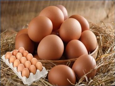 Yumurta: TƏBİİ KƏND YUMURTASI Satılır Mayalı Yumurtalardır. Öz həyətimdə