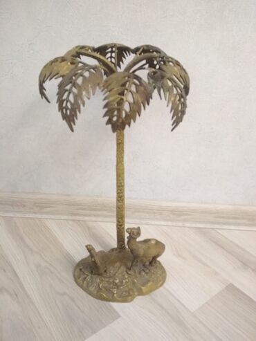 palm angels kofta: Gedimi palma hündirliyi 55 san. 160 man