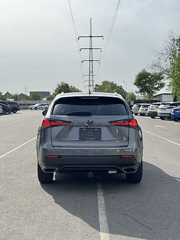 лехус нх 300: Lexus NX: 2018 г., 2 л, Автомат, Бензин, Кроссовер — 5