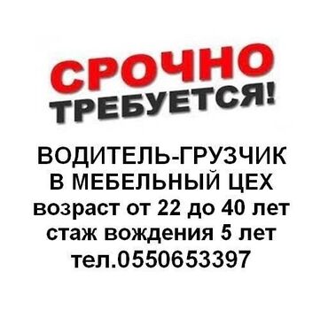ищу работу фура: Талап кылынат Айдоочу-экспедитор, Тажрыйбасы 5 жылдан жогору