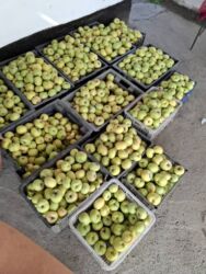 часы для дома бишкек: Яблоки Бабушкино, В розницу