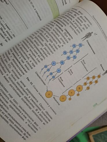 Digər kitablar və jurnallar: Общая биология,10-11 классы -da lalafo.az — 6 Digər kitablar və jurnallar: Общая биология,10-11 классы — 6