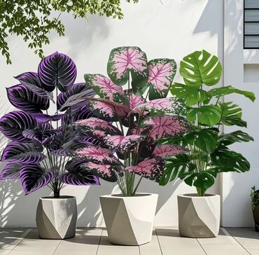 Süni güllər: 🌸 İstədiyiniz dibçəyi, istədiyiniz ölçüdə yığırıq! 🏡 Evlər, ofislər -da lalafo.az — 19 Süni güllər: 🌸 İstədiyiniz dibçəyi, istədiyiniz ölçüdə yığırıq! 🏡 Evlər, ofislər — 19