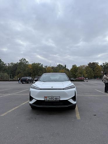 Dongfeng: Dongfeng : 2026 г., Электромобиль, Кроссовер — 1