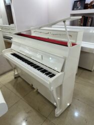 Pianolar: Piano, Petrof, Akustik, Yeni, Pulsuz çatdırılma — 13