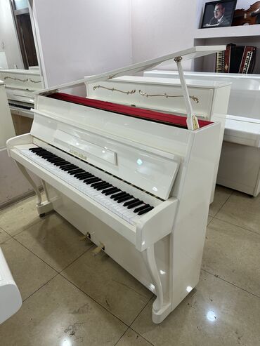 Gitaralar: Almaniya Cexiya ve Rusiya istehsalı Keyfiyyətli, fabrıc malı 2 və 3