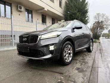 спрей скорая помощь: Kia Sorento: 2019 г., 2.2 л, Автомат, Дизель, Внедорожник
