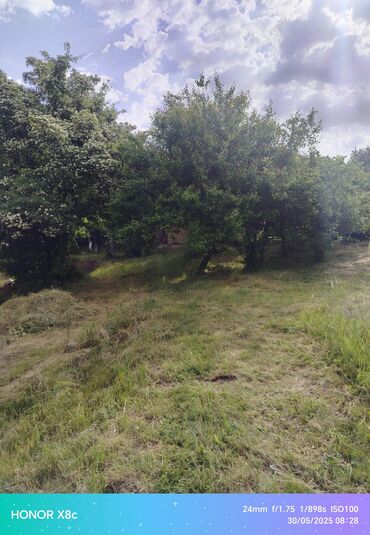 Torpaq sahələrinin satışı: 9 sot, Kənd təsərrüfatı, Barter mümkündür, Kupça (Çıxarış) — 7