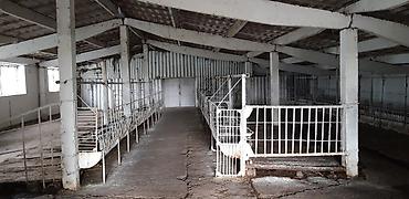 Кыймылсыз мүлк: Мүйүздүү бодо мал фермасы, 75 соток, Канализация, Скважина — 10