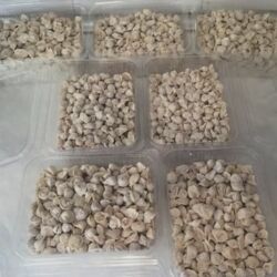 Yarımfabrikatlar: Sifarişlə DÜŞBƏRƏ,GÜRCÜ XƏNGƏLİ,YARPAQ XƏNGƏLİ,GÜRZƏ,ƏRİŞTƏ ev — 2