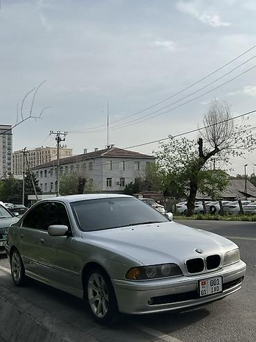 оптика е39: BMW 5 series: 2003 г., 2.5 л, Автомат, Бензин, Седан — 6
