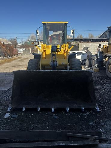 Погрузчики: Погрузчик, 2010 г., Колесный, Фронтальный — 2