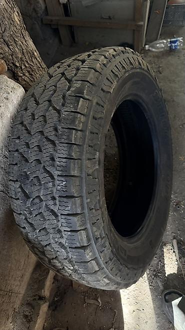 550: Шина Bridgestone A/T Ascent - Тип: вседорожная A/T, бескамерная — 4