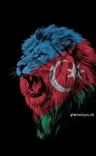 məscid şəkilləri çəkmək: Məhsul: Azərbaycan temalı qrafik dizayn illüstrasiyaları Təsvir: - — 3