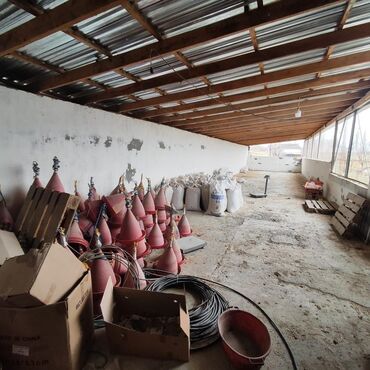 Torpaq sahələrinin satışı: Kənd təsərrüfatı, Mülkiyyətçi, Bələdiyyə, Kupça (Çıxarış) — 15