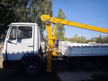 мерседес 1320: Mercedes-Benz Vario: 1996 г., 4.2 л, Механика, Дизель — 2