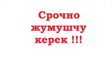 работа в турции для кыргызстанцев 2023: Жүк ташуучу. Эски толчок базары