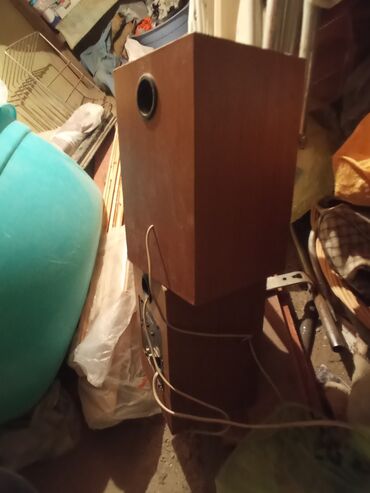 питомник растений в баку: Şekildə gördüyunüz kimidir xamsı 200 manat vapçat aktivdir real