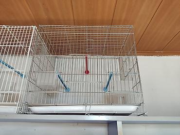 Зоотовары: Клетки для птиц и грызунов! — 4