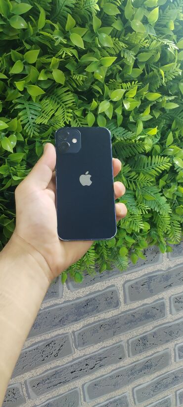 IPhone 12 mini, 128 ГБ, Black Titanium