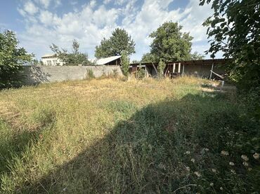 Продажа участков: 4 соток, Для бизнеса, Красная книга — 4