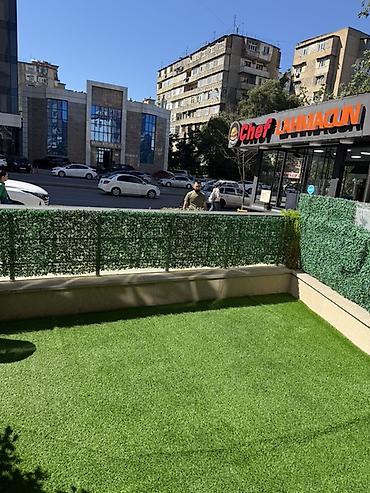 samux makler: İcarəyə verilir – vitrinli küçəseviyəsi obyekt və geniş açıq terras - — 1